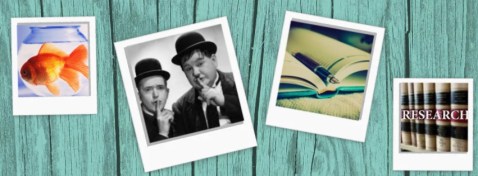 photovisi-download-28