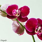 10325174_677706522313188_107725290141196972_n