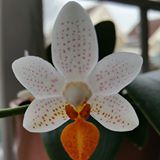 17202765_1197379200371598_1022619698227188230_n