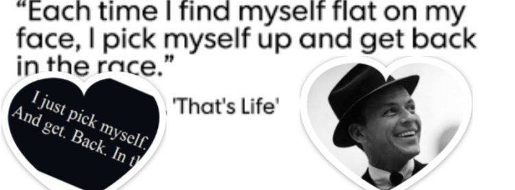 aa2photovisi-download