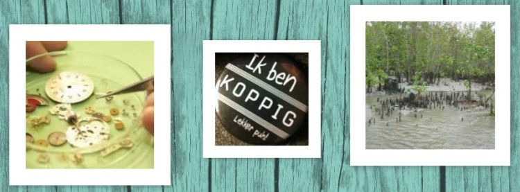 photovisi-download (38)