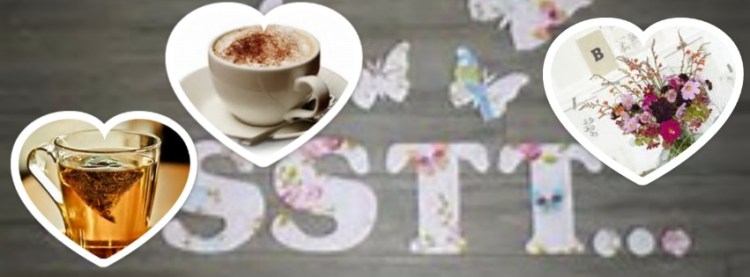 photovisi-download (19)