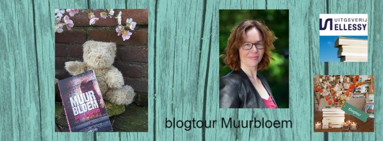 photovisi-download (18)