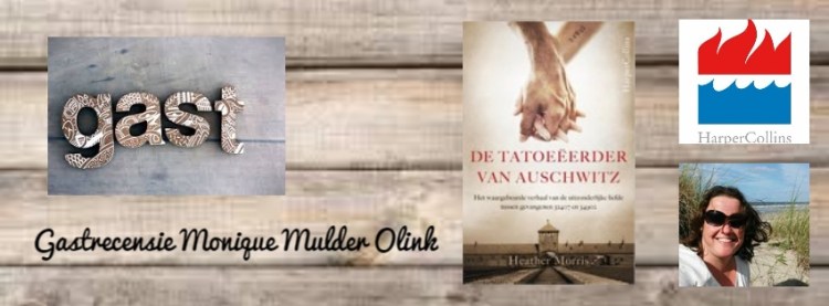 photovisi-download (21)