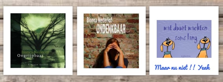 photovisi-download (73).jpg