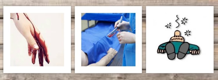 photovisi-download (53)